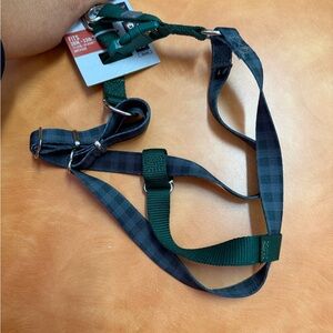 Avalanche Green and Blue Plaid Dog Harness
